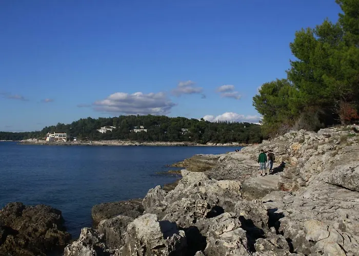 Apartamento In The Center & & Quiet *