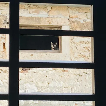 Apartman In The Center & & Quiet