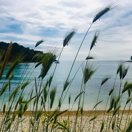 In The Center & & Quiet * Póla