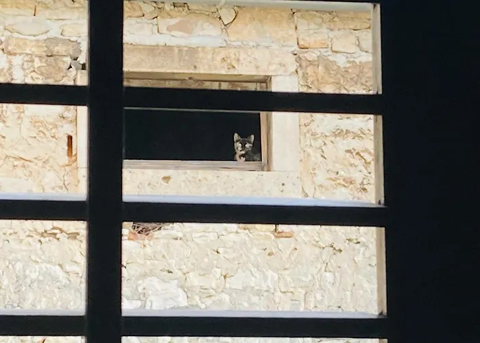 Lejlighed In The Center & & Quiet