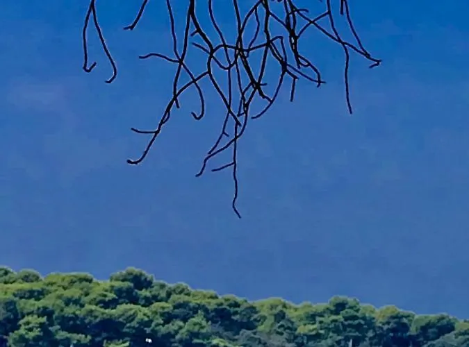 Appartement In The Center & & Quiet