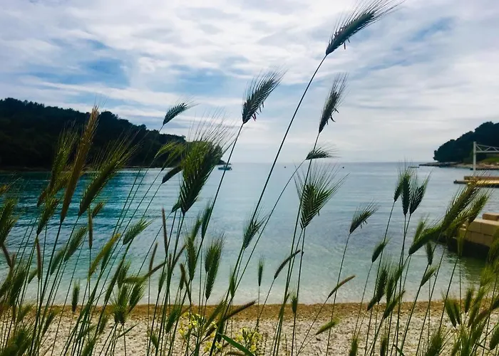 In The Center & & Quiet * Pula