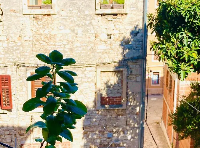 In The Center & & Quiet Appartement