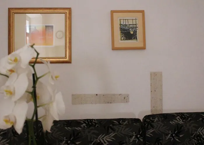 Appartement In The Center & & Quiet *